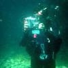 Picture taken during the dive