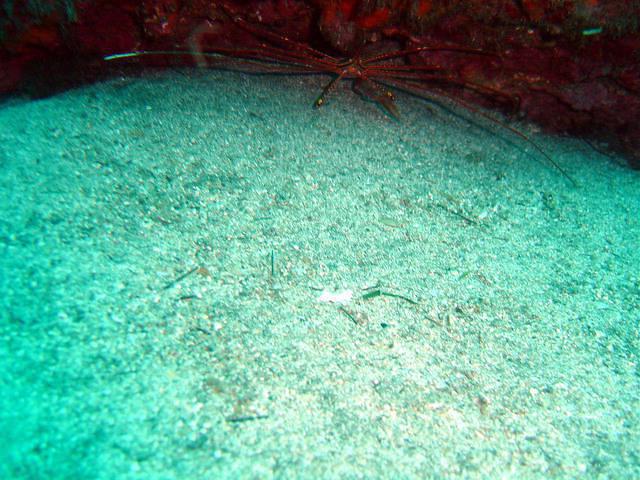 Faroe Dive - Dive Center