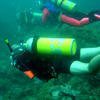 Picture taken during the dive