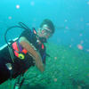 Picture taken during the dive