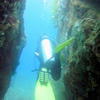 Picture taken during the dive