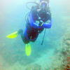 Picture taken during the dive