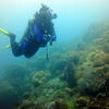 Picture taken during the dive