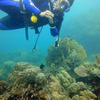 Picture taken during the dive