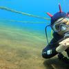 Picture taken during the dive