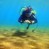 Picture taken during the dive