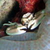 Picture taken during the dive