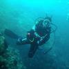 Picture taken during the dive
