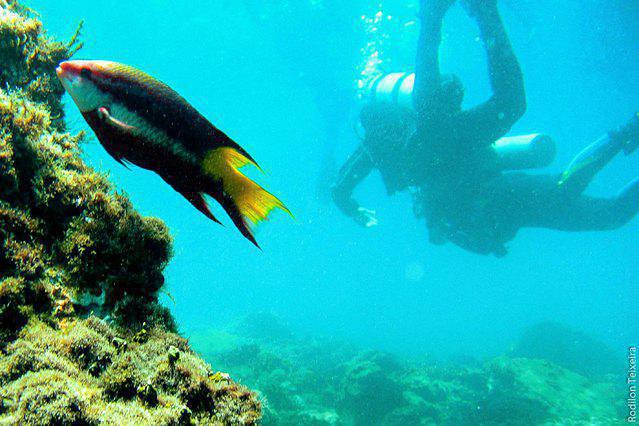 PL Divers - Dive Center in Brazil