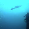 Picture taken during the dive