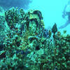 Picture taken during the dive