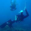 Picture taken during the dive