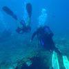 Picture taken during the dive
