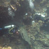 Picture taken during the dive
