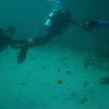 Picture taken during the dive