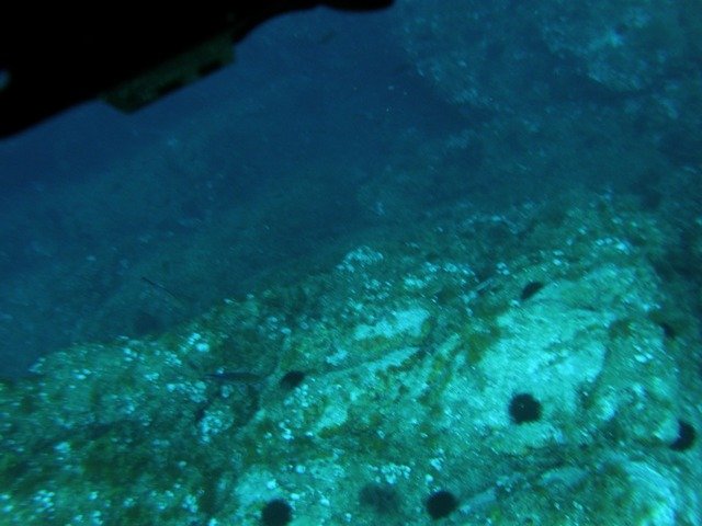 Poseidon Nemrod Diving - Dive Center in Spain