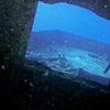 Picture taken during the dive