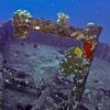 Picture taken during the dive