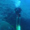 Picture taken during the dive