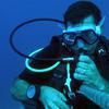 Picture taken during the dive