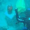 Picture taken during the dive