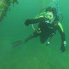 Picture taken during the dive