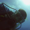 Picture taken during the dive