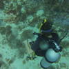 Picture taken during the dive