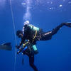 Picture taken during the dive