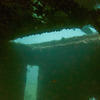 Picture taken during the dive