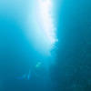 Picture taken during the dive