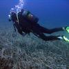 Picture taken during the dive