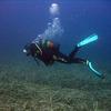 Picture taken during the dive