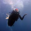 Picture taken during the dive