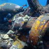 Picture taken during the dive