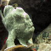 Picture taken during the dive