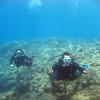 Picture taken during the dive