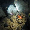 Picture taken during the dive