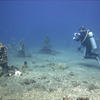 Picture taken during the dive