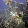 Picture taken during the dive