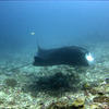 Picture taken during the dive