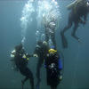 Picture taken during the dive
