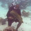 Picture taken during the dive