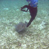 Picture taken during the dive
