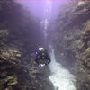 Picture taken during the dive
