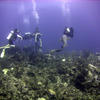 Picture taken during the dive