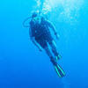 Picture taken during the dive