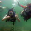 Picture taken during the dive