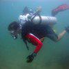 Picture taken during the dive