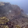 Picture taken during the dive